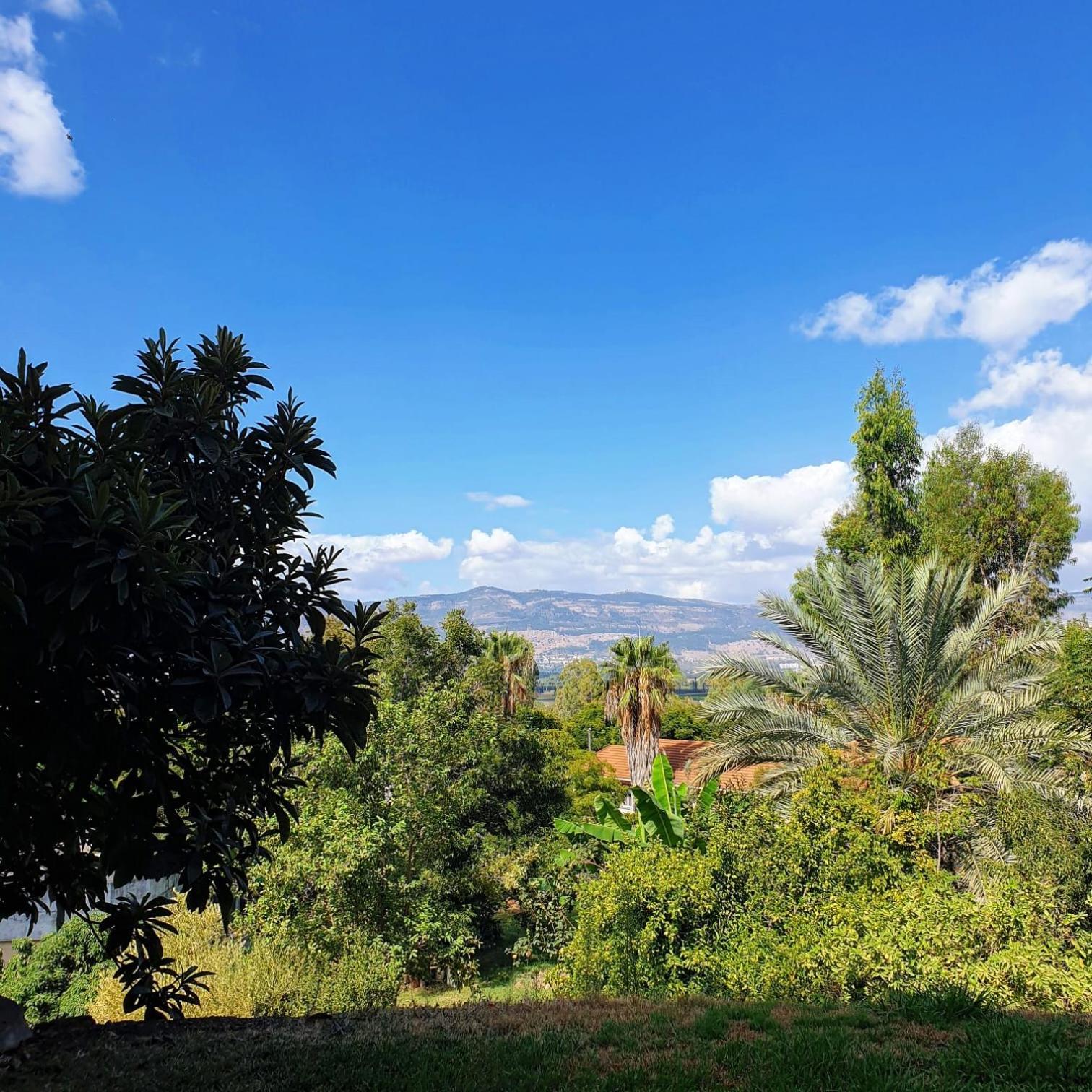 צימר בודד בגליל העליון Kefar Szold المظهر الخارجي الصورة